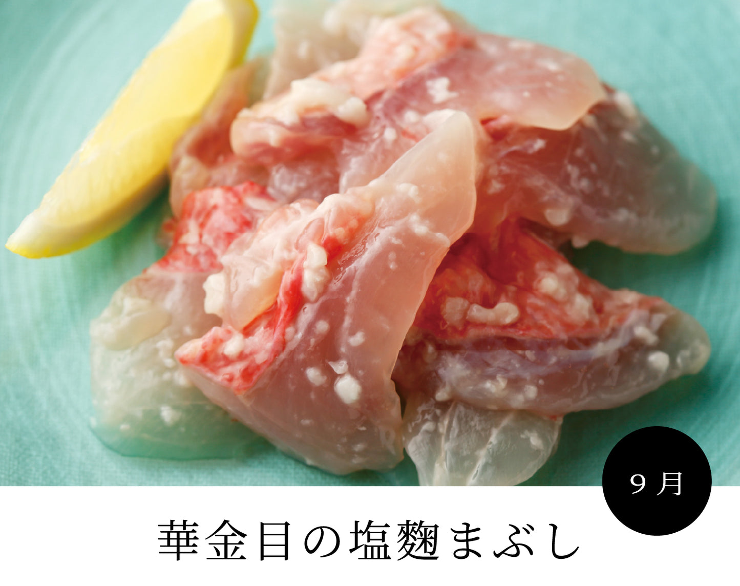 【お試し1回分】サブスク「乾杯膳」 生原酒と土佐の「おたべごろ」 商品をセットにしたサブスク